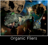 Organic Fliers